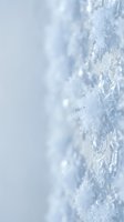 Delicate ice crystals and frost formations create ethereal winter patterns with soft blue tones and dreamy bokeh background for seasonal design projects.