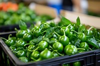 Fresh green chili peppers in black crate at farmers market display. Organic hot peppers with stems and leaves for cooking, spicy food preparation.