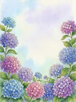 Watercolor hydrangea flowers frame with soft pastel colors and green leaves on textured paper background for spring garden designs and floral projects.