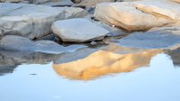 Tranquil rocky riverbed with golden sunset reflection in calm water, smooth stones and boulders creating natural patterns along shoreline. Nature photography.