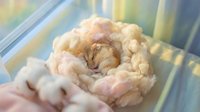 Hands holding fluffy cotton candy with caramel swirl, perfect for fairs, carnivals, and sweet treat marketing campaigns.