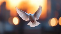 White dove with spread wings flying against blurred urban sunset background with golden bokeh lights creating peaceful atmospheric scene.