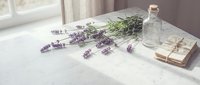 Fresh lavender sprigs with glass bottle and vintage books on white marble surface creating peaceful spa aromatherapy scene for natural wellness.