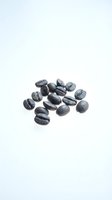 Roasted coffee beans isolated on white background, ready for beverage packaging, cafe branding, and culinary design projects.
