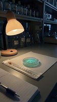 Laboratory workspace with petri dish containing blue bacterial culture under warm desk lamp for microbiology research and scientific analysis.