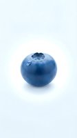 Fresh blueberry isolated on white background with water droplets, ready for food and nutrition design projects.