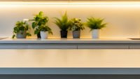 Modern minimalist shelf display with small potted green plants in contemporary containers against warm neutral wall for interior design.