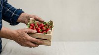 Farmer holding wooden crate of fresh red bell peppers, harvest time produce for farmers market, agriculture and organic vegetable farming concept.