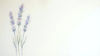 Watercolor lavender flowers with soft purple blooms and green stems on textured paper background for botanical art, wedding invitations, aromatherapy designs.