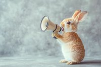 Funny rabbit holding megaphone making announcement against gray background. Conceptual photo of communication, leadership and speaking up.