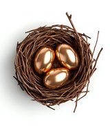 Golden eggs nestled in brown twigs nest on white background, symbolizing wealth, investment and financial security concept. Isolated object for design use.