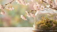 Spring terrarium with moss under glass dome beside blooming cherry blossom branches on wooden surface with soft bokeh background for home decor.