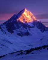 Majestic mountain peak glowing with golden alpenglow at sunset, snow-covered slopes and evergreen forest beneath dramatic purple sky in winter landscape.