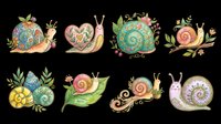 Decorative snails with ornamental shells and botanical elements isolated on transparent background, ready for t-shirt design, clipart, stickers, sublimation, and print-on-demand projects.