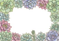 Succulent plants frame isolated on white background, hand-drawn botanical border design for invitations, cards, and creative projects.