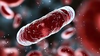 Red bacteria cell on dark background with blurred microorganisms. Scientific visualization of microscopic pathogen for medical and educational purposes.