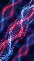 Digital DNA double helix structure with glowing neon effects in blue and red colors for biotechnology and genetic research presentations.