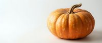 Orange pumpkin with curved stem isolated on white background for autumn harvest decoration, Halloween design, and seasonal crafts.