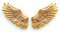 Pair of golden angel wings with detailed feathers and metallic shine isolated on white background, ready for creative design projects and digital compositions.