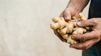 Male hands holding fresh ginger root against neutral background. Suitable for culinary, wellness, organic produce, and cooking-related content.