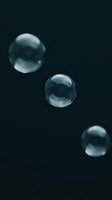 Transparent soap bubbles floating against dark background creating minimalist composition for modern design projects and artistic concepts.