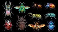 Colorful insect collection featuring beetles, bugs, and flying insects isolated on transparent background. Ready for clipart, t-shirt design, stickers, print-on-demand, and sublimation projects.