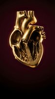 Golden anatomical human heart model with detailed chambers and vessels on dark background for medical education and healthcare design.