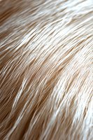 Close-up macro shot of light blonde hair strands showing detailed texture and natural shine pattern against dark background, suitable for beauty and haircare marketing.