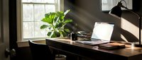 Sunlit home office workspace with laptop, plant and desk lamp creating productive work environment for remote professionals and freelancers.