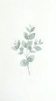 Watercolor eucalyptus branch with soft green leaves on textured paper background for botanical art, wedding invitations and natural decor projects.