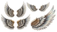 Detailed angel wings set with feathers in brown and beige tones isolated on transparent background for tattoo designs and fantasy artwork.