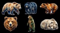 Diverse bear species collection isolated on transparent background, ready for t-shirt design, clipart, stickers, print-on-demand products, sublimation and digital crafts.