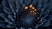Dark navy blue chrysanthemum flower with glowing orange center petals creates dramatic contrast in moody macro photography, suitable for luxury branding.