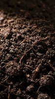 Rich dark soil texture with organic matter and small roots, fertile earth ready for planting seeds and growing plants in garden or agricultural field.