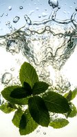 Fresh mint leaves splashing into clear water with dynamic bubbles and droplets creating refreshing beverage concept for culinary and wellness applications.