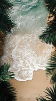 Turquoise ocean waves washing onto sandy beach framed by tropical palm leaves, aerial view of coastline with foam and surf meeting golden sand.