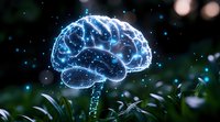 Glowing blue brain hologram floating above green foliage with bokeh lights and sparkles, representing artificial intelligence, neuroscience and cognitive technology.