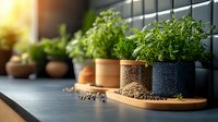 Fresh aromatic herbs growing in decorative pots on dark countertop, natural light from window creates cozy kitchen garden atmosphere with soil and pebbles.