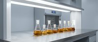 Laboratory fume hood with glass flasks containing amber liquid samples for chemical analysis and research experiments in modern scientific facility.