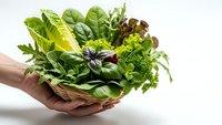 Fresh mixed salad greens and herbs in cupped hands on white background, healthy eating concept for organic food marketing and nutrition campaigns.