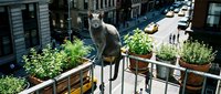 Gray tabby cat standing on wooden railing of urban rooftop garden with potted plants, overlooking busy city street below with traffic and pedestrians.
