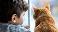 Young boy and ginger cat looking through window together on rainy day, sharing peaceful moment of contemplation and companionship, view from behind.
