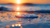 Melting ice crystal on water surface reflects golden sunset light creating magical bokeh effect and ripples. Macro nature photography captures winter to spring transition.