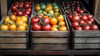 Fresh red, yellow and orange tomatoes on vine displayed in rustic wooden crates at farmers market, colorful organic produce arrangement for healthy eating.