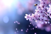 Bee pollinating delicate purple lilac flowers with soft bokeh background, spring nature scene for gardening, botanical and seasonal projects.