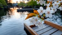 Delicate white cherry blossoms branch overhanging wooden dock at sunset, with tranquil lake water and moored boats in soft golden light background.