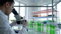 Male scientist examining green liquid samples through microscope in modern laboratory for research and analysis.