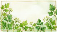 Parsley herb plants with green leaves and small yellow flowers arranged as border frame on cream background, isolated for culinary and botanical design use.