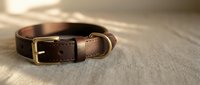 Brown leather dog collar with brass buckle on wooden surface for pet accessories and animal care products.