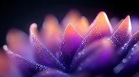 Delicate water drops on purple flower petals create dreamy bokeh effect with orange highlights, macro photography showing morning dew in artistic nature close-up.